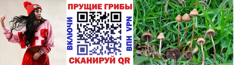 Галлюциногенные грибы MAGIC MUSHROOMS  Ишим 