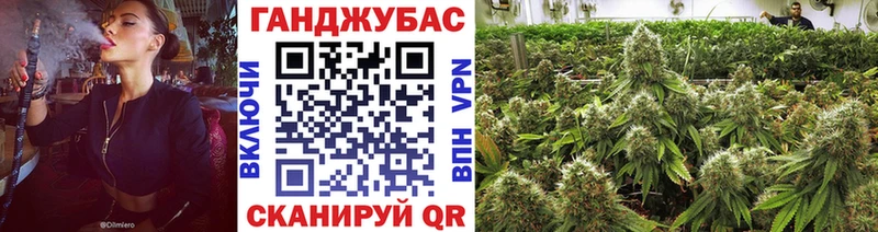 кракен зеркало  Ишим  Канабис индика 